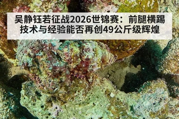 吴静钰若征战2026世锦赛：前腿横踢技术与经验能否再创49公斤级辉煌